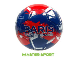 PARIS BALL A01272021 BACK כדור כדורגל פריז