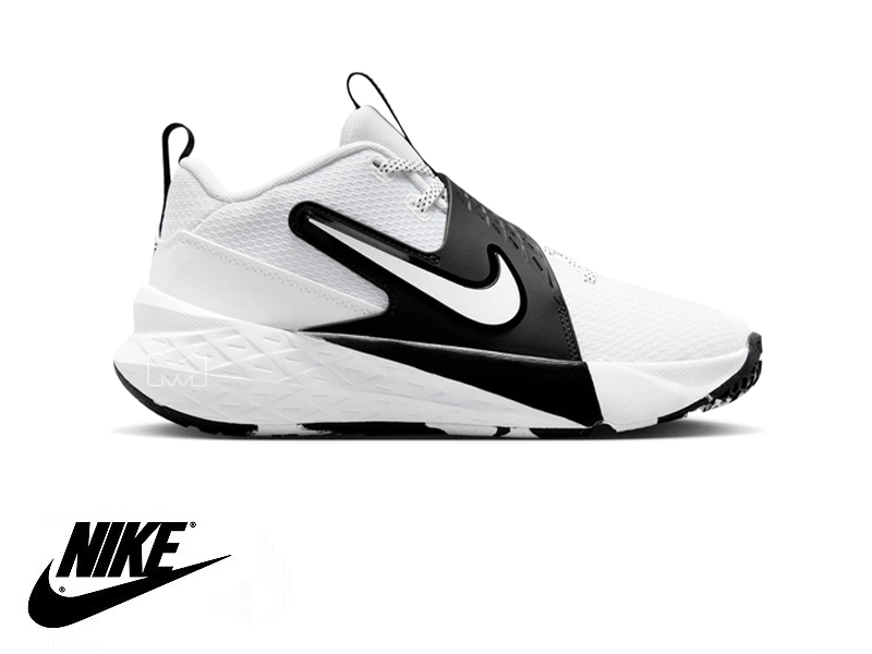נעלי נייקי כדורסל לילדים ונוער NIKE TEAM HUSTLE D 12 נעלי ילדים ונוער מאסטר ספורט